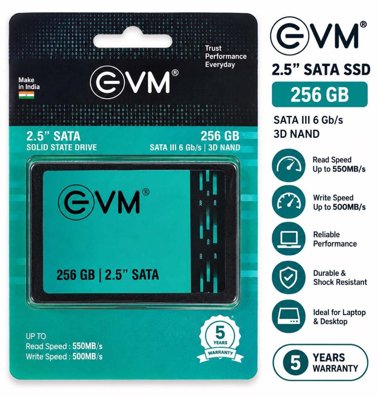EVM 256GB 2.5